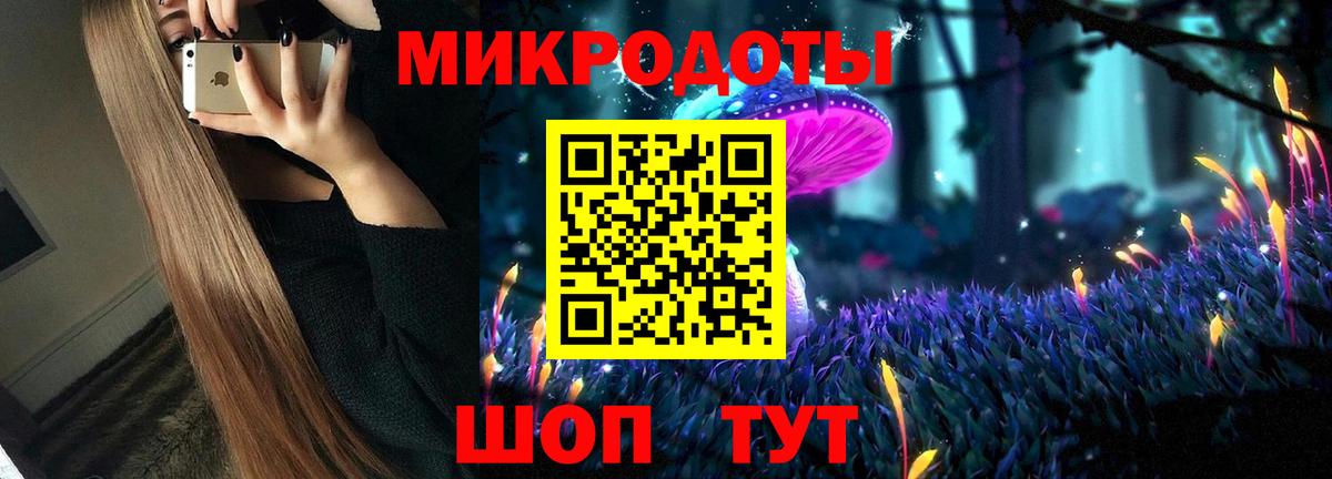 Галлюциногенные грибы Psilocybine cubensis Тверь